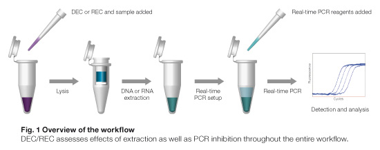 /DNA_Extract._Control.jpg